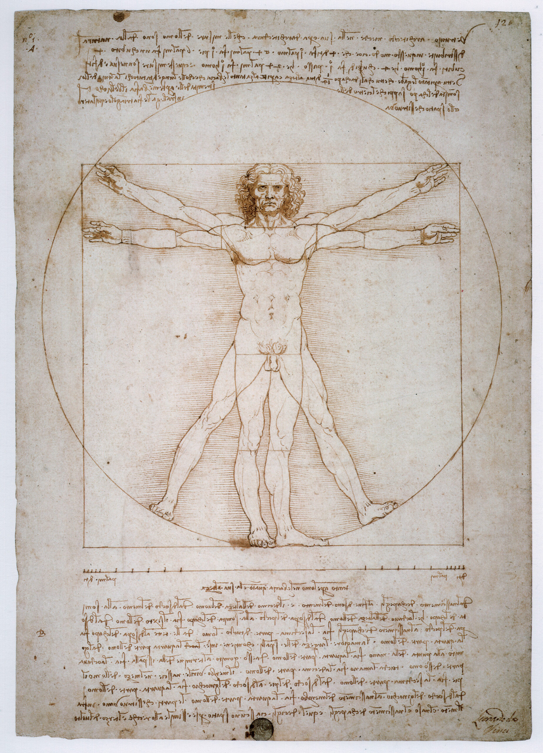 Vitruvian Man Artwork